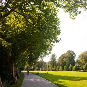 Wanderweg im Paradiespark mit Radfahrern und Fußgängern
