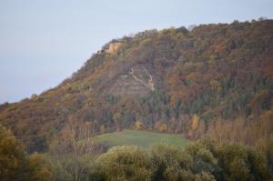 Südseite des Gleisbergs mit Kunitzburg bei Jena